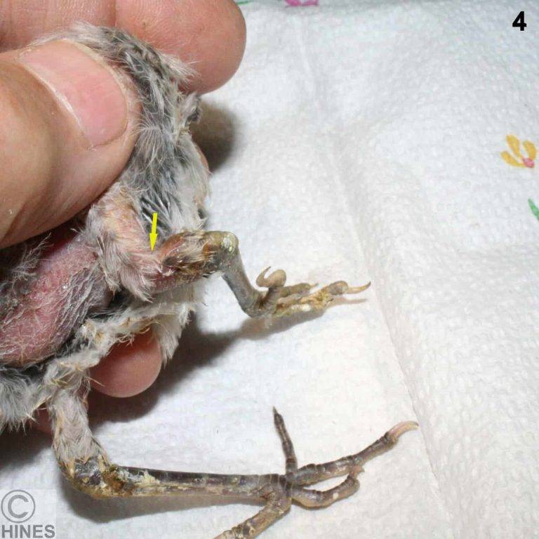 10f82039220f4f88833738c8d9e2c060