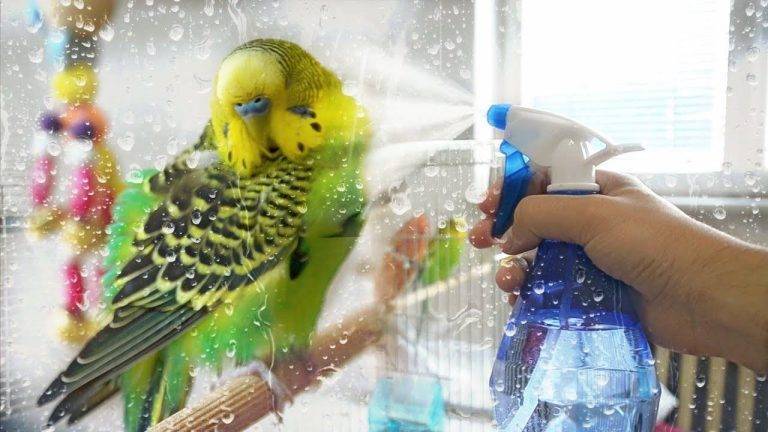 1e0d38bdf9fe4612b3c6a57e53dd1885