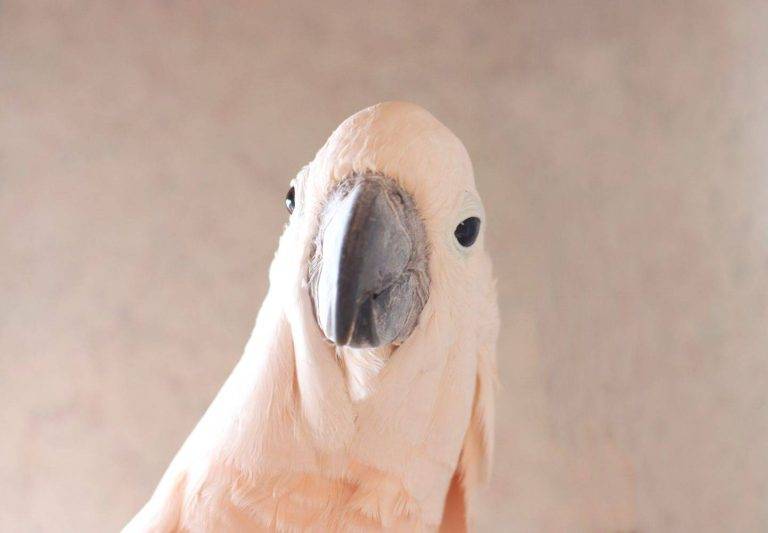 47207aaaaafa4fd7888b69db4ebb0014