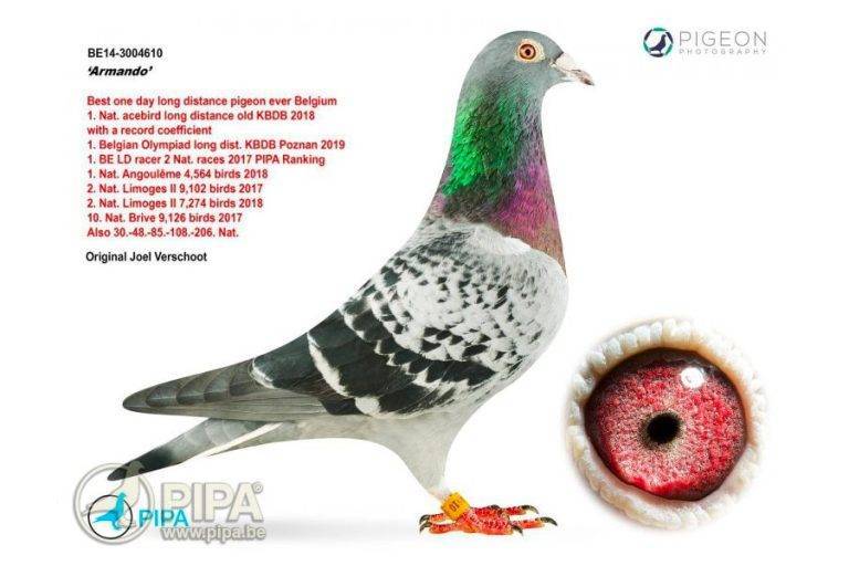 72f2662d6c9544d2b38f0bb9fd1c556e