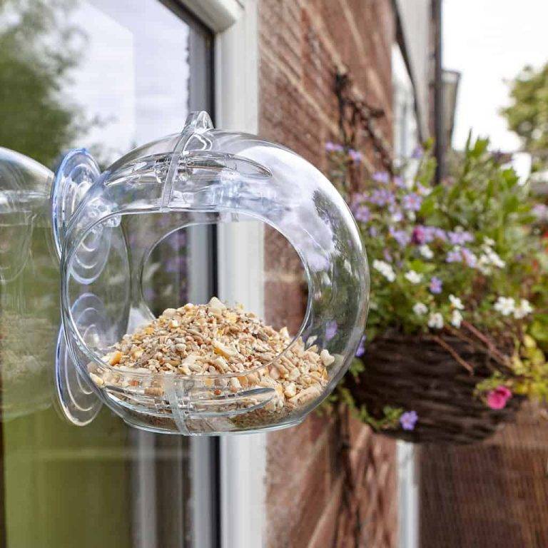 Balcony Bird Feeder: Amazing Ideas to Attract Birds 72f56c387ac84b819ff3e2734231caa2
