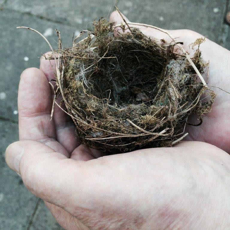 82c7e7298fdc406a91dd59e0a33540c0