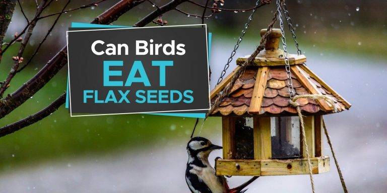 8c70c69d9bf4451fab1c73abdbd88e46