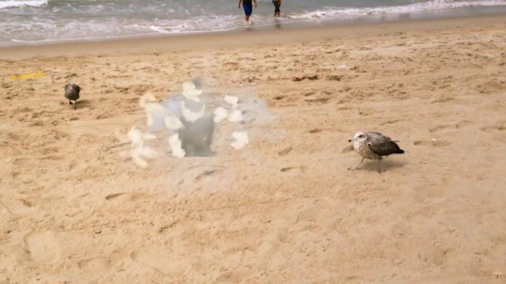 What Makes Birds Explode