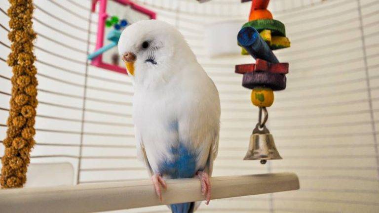 9972b5743ad74951ae4a2c2afd88816d