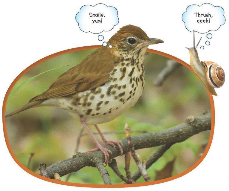 9e4b3a0fba22436f9190f6fc2007000e