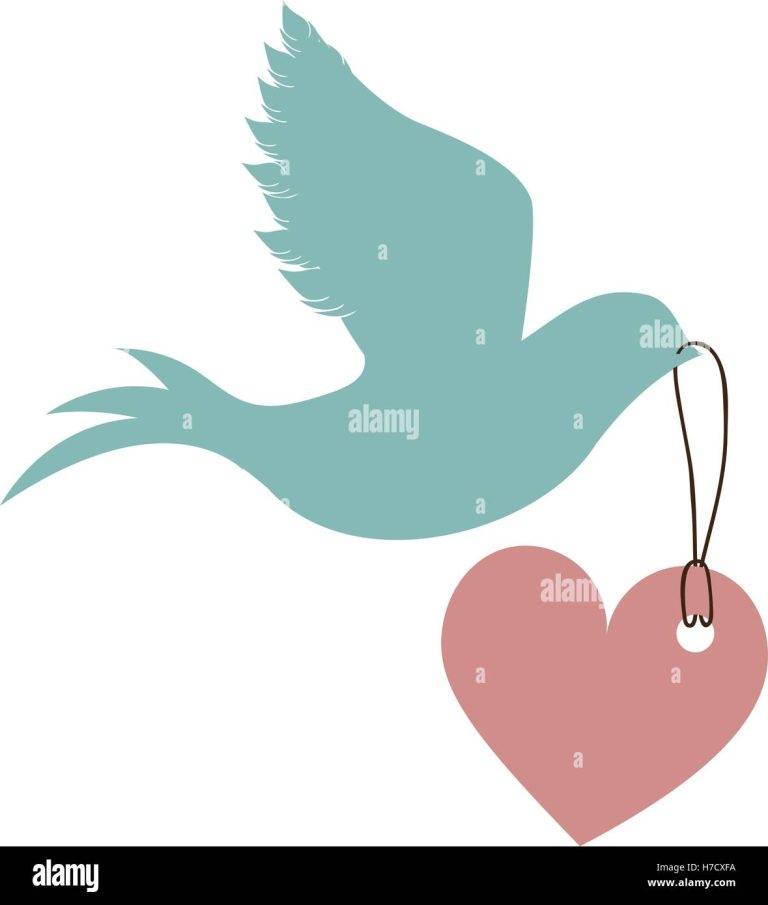 Is a Dove a Symbol of Love a5ffff61d145407f9d9520a2268970b5