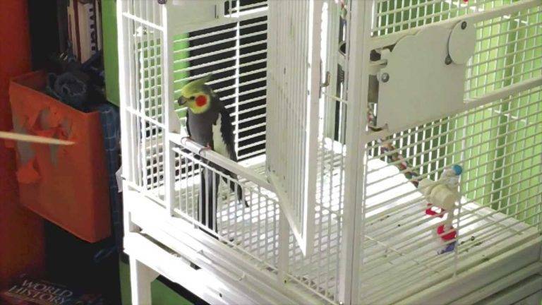 a9ad4367749c4a57aa80059145a1329b