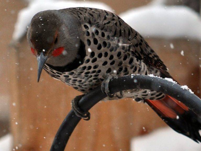 c851cd15ac4a4b5ea977a388c73b1341