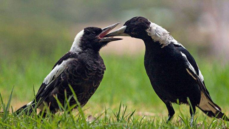 d00affb17b404b69bbdc4858bf9319dc