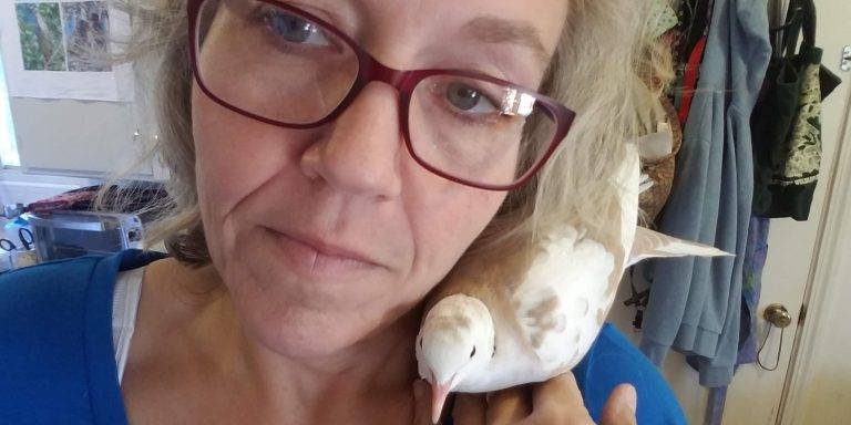 How Common is Bird Fancier Lung da78532c421c4f5f8d3c02d5a7de6912