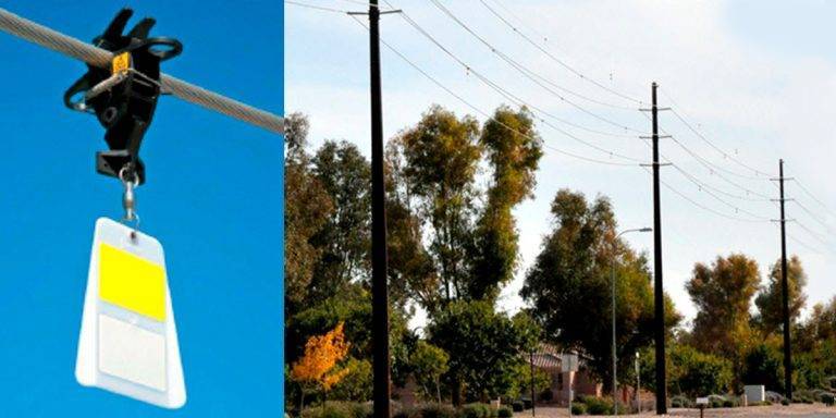 How to Keep Birds off Overhead Wires dc304fe2e1ee4bab9c6bd0b62f80eabd
