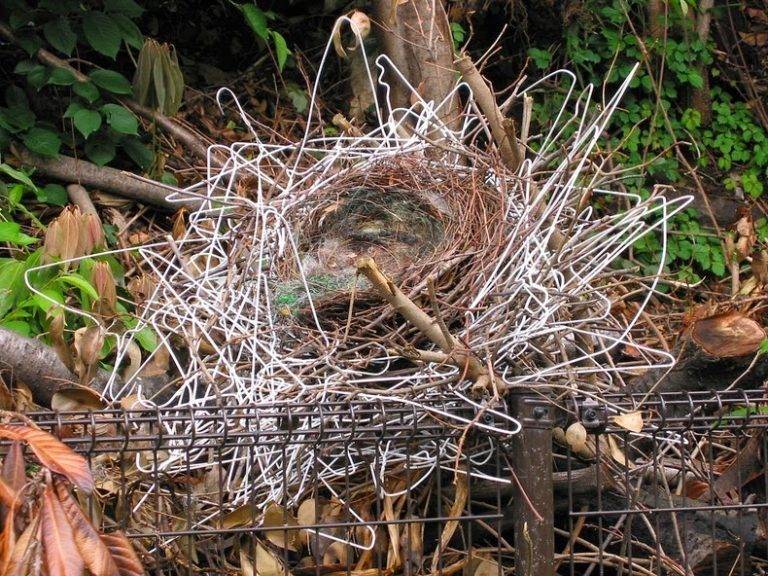 Bird Nest Hanger: Everything You Need to Know! e667ca1bbf2a40d58e4a0778b70bce83