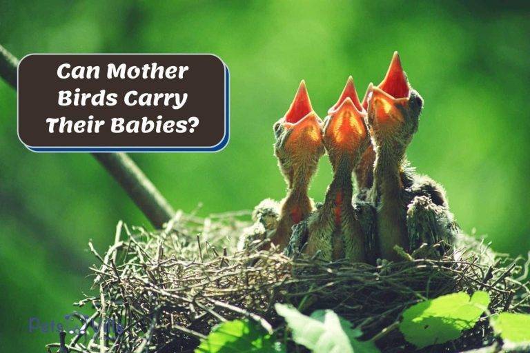 f3a4e56743f54ff1ade57d0c5e0333c2