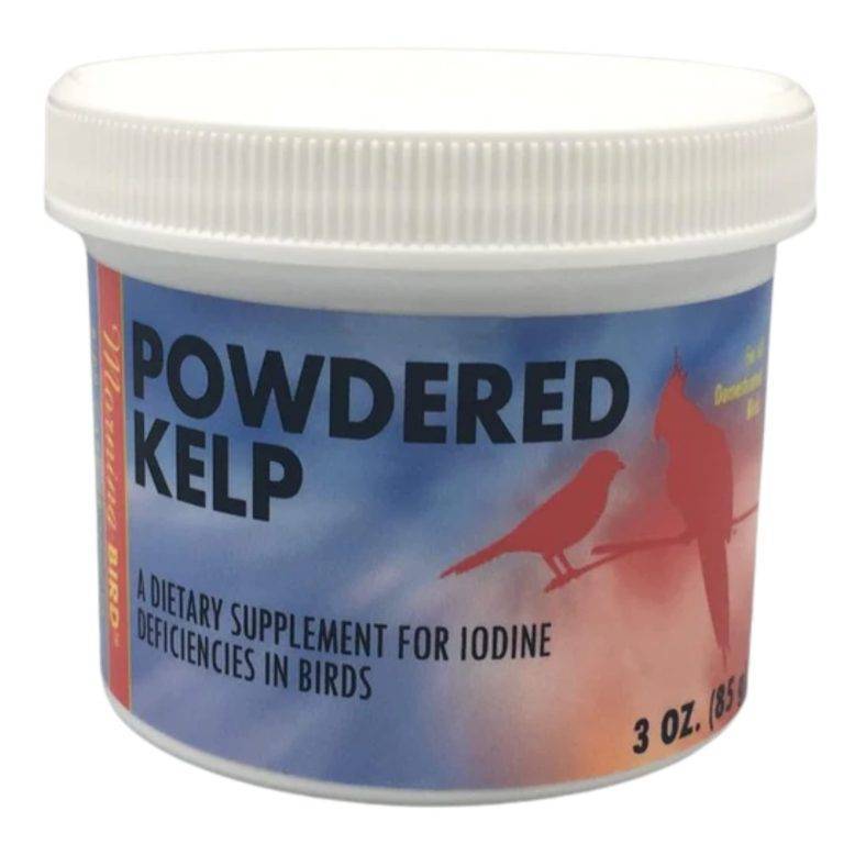 Can You Use Iodine on Birds f9ebe0be93a943ed817a71ba30109c3b