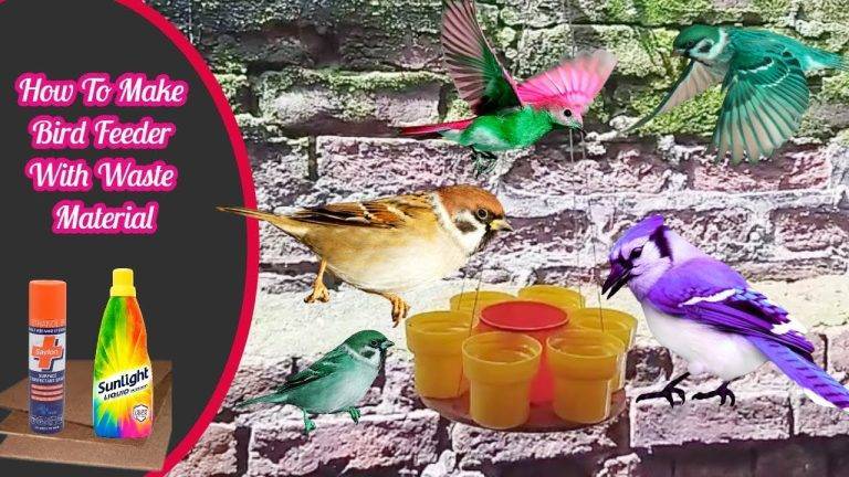 Can You Use Savlon on Birds fa0e027b4a1249d184e833a5161d572f