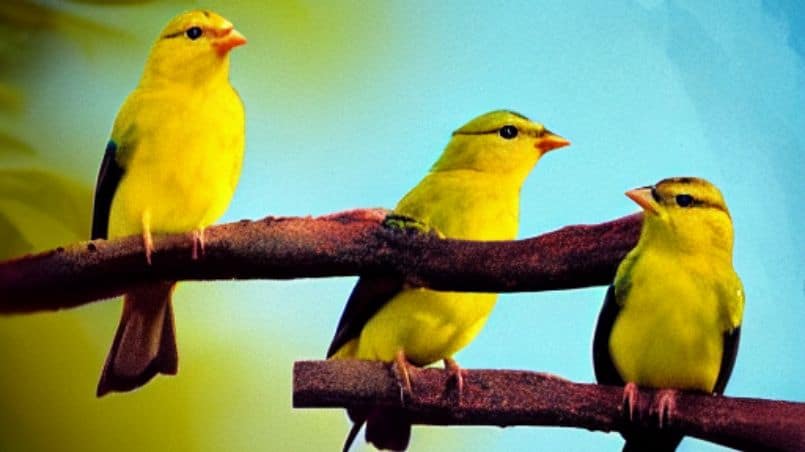 When Do Baby Birds Start Chirping: The Fun Facts