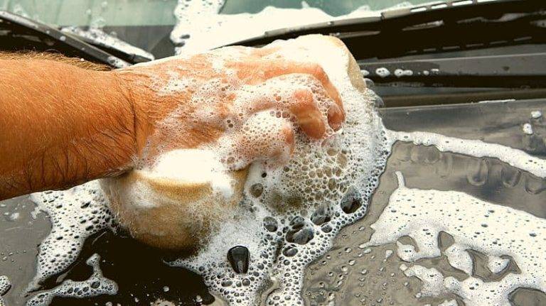 HOW TO REMOVE BIRD POOP STAIN FROM CAR