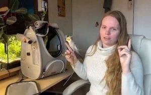 How to Safely Navigate Traveling with Birds