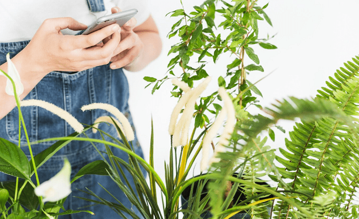 Social Media Tips for Herbal Businesses: Navigating the Digital Landscape Screenshot 4 4