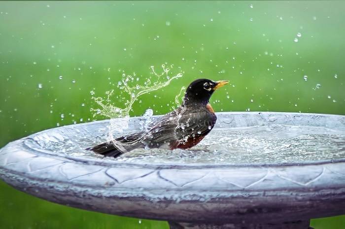 Benefits of Metal Bird Baths