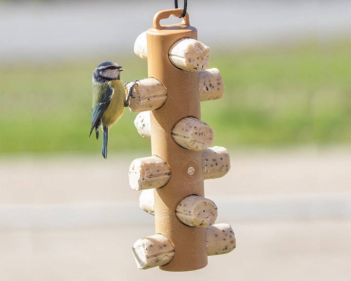 Suet Logs for Birds: Enhancing Your Backyard Bird Feeding Experience Suet Logs for Birds
