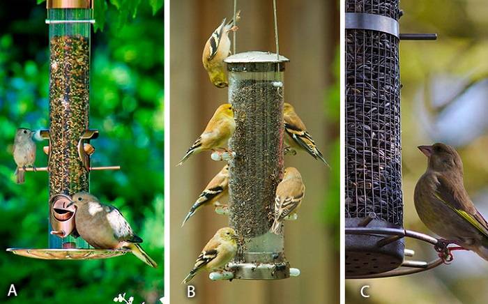 Types of Bird Seed Feeders