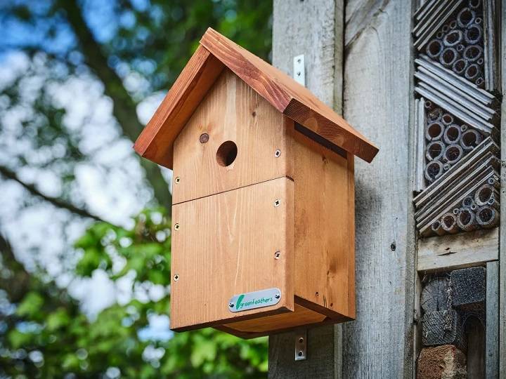 The Ultimate Guide to Wooden Bird Boxes: Creating Havens for Avian Families Wooden Bird