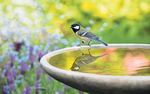 Benefits of Ceramic Bird Baths