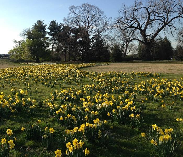 Embracing the Legacy of Lady Bird Johnson