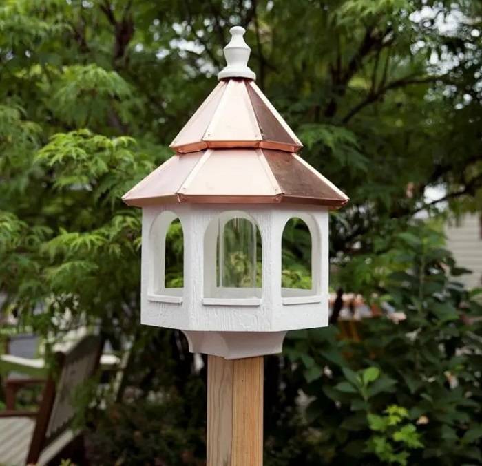 History and Evolution of Bird Houses