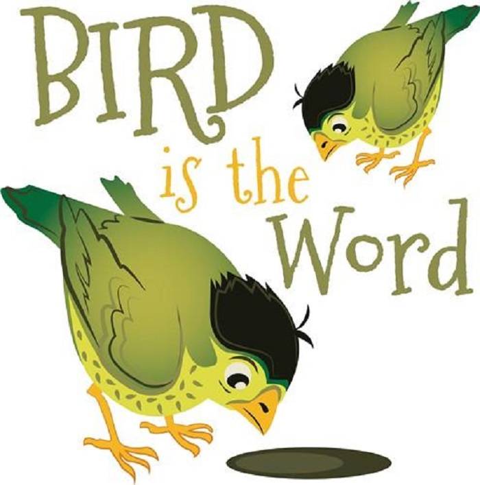 Origins From Pop Culture to Mainstream Media