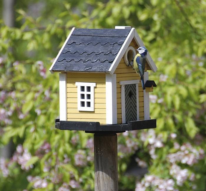 Types of Bird Houses