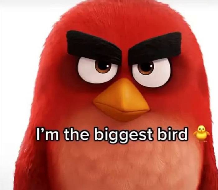 im da biggest bird 2