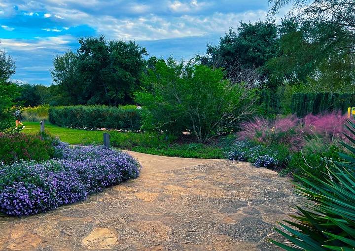 Exploring the Beauty and Conservation Legacy of the Lady Bird Johnson Wildflower Center: A Botanical Haven in the Heart of Texas lady bird johnson wildflower center