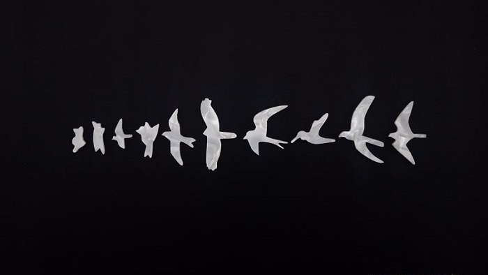 Do Other Brands Use Bird Inlays