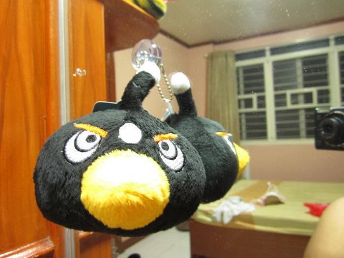 Black Bird in Angry Birdsdfgg