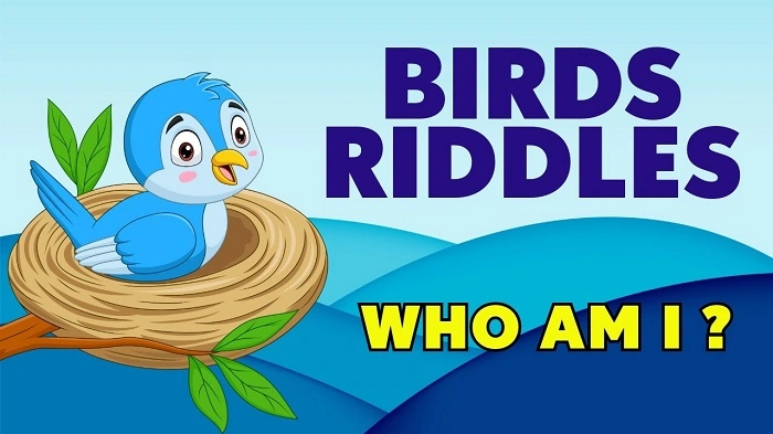 Funny Bird Riddles