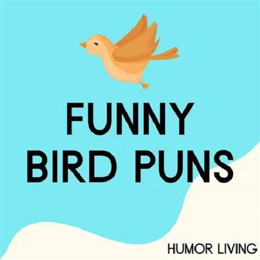 Punny Bird Jokes