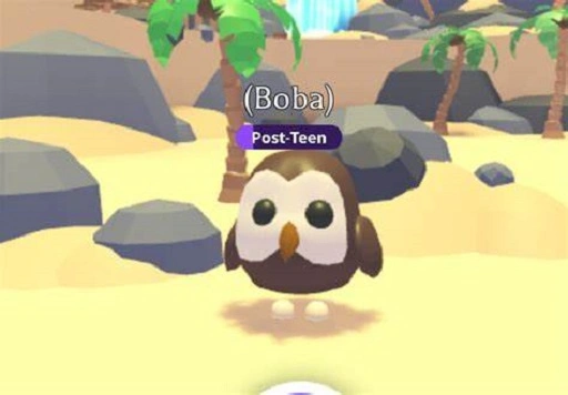 The Origin of the Boba Bird Trend