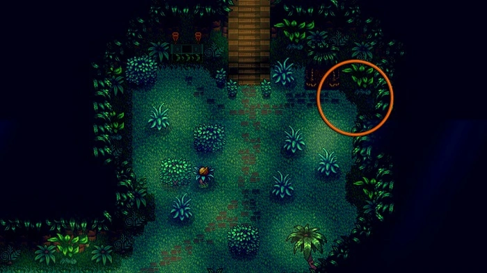 Where to Find the Gem Bird Puzzle
