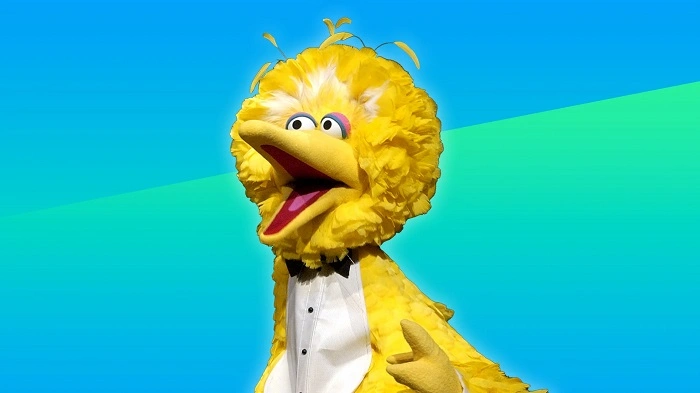 Who Is Big Bird