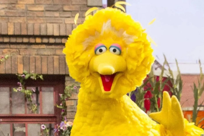 Why Is Big Bird Important