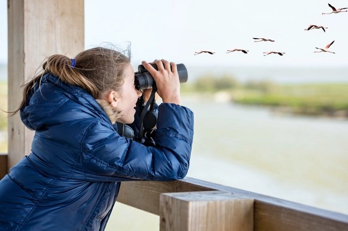 Birdwatching Tips