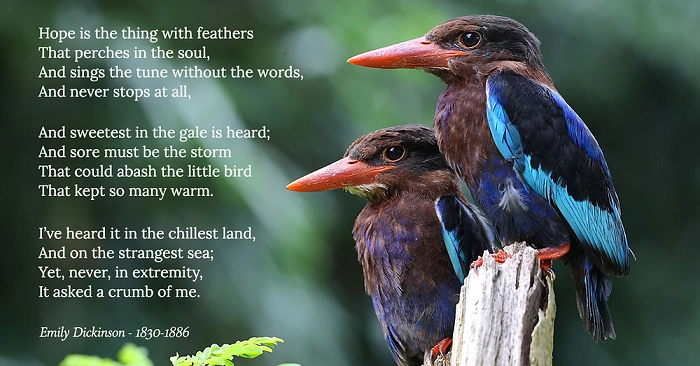 Hope Through Conservation