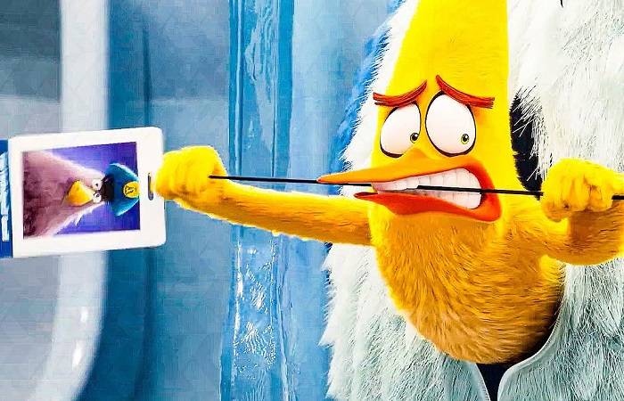 Who is Chuck from Angry Birds