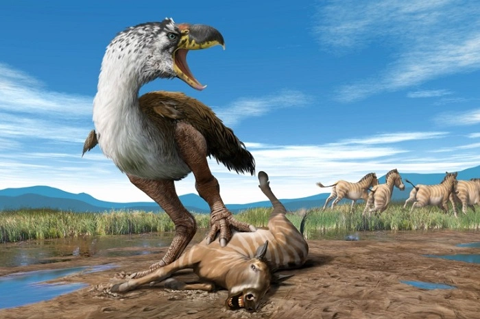 Why Birds Become Carnivorous